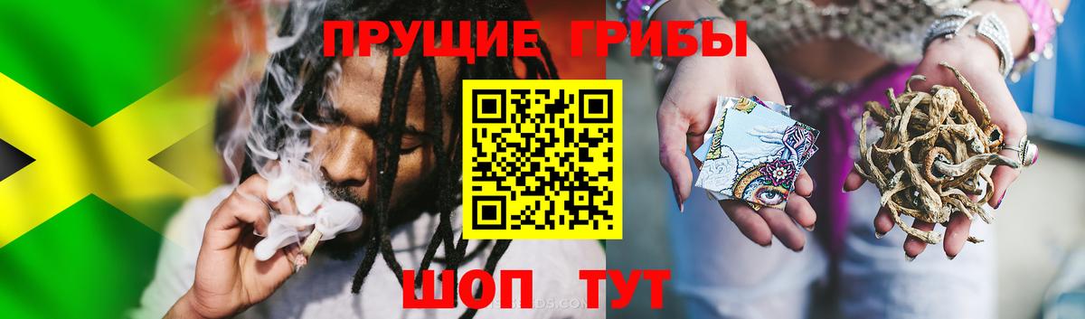 Дмитров  Галлюциногенные грибы прущие грибы  даркнет сайт  Вход с VPN 